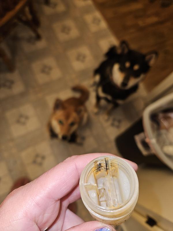 Photo submitted with review of product