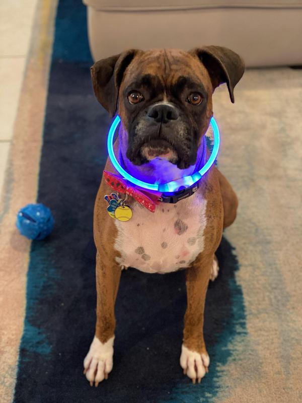 Nite Ize SpotLit - LED Collar Light - Howl