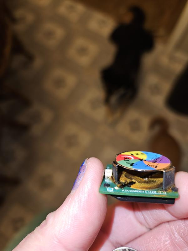 Photo submitted with review of product