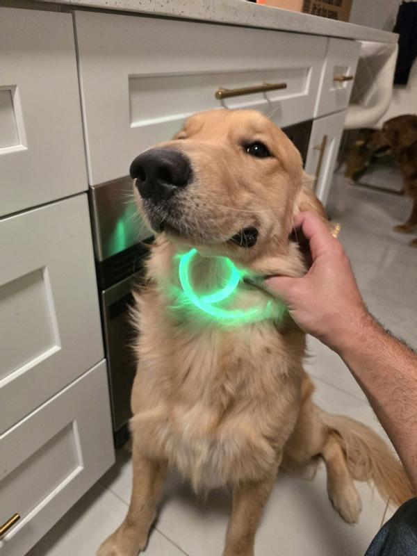 NITE IZE NiteHowl Mini Rechargeable LED Safety Necklace Dog Collar
