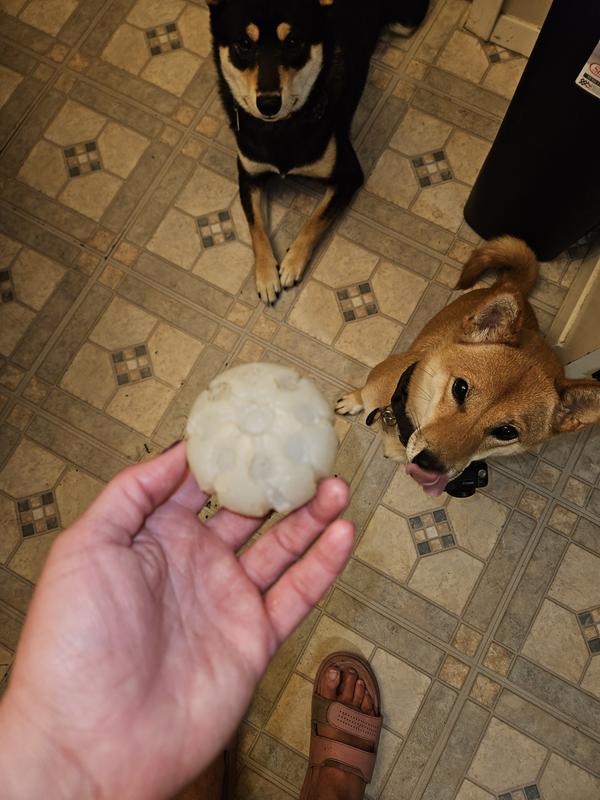 Photo submitted with review of product