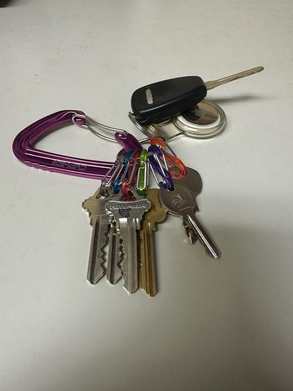 Nite Ize Assorted Stainless Steel Keychain with 6 Colorful S