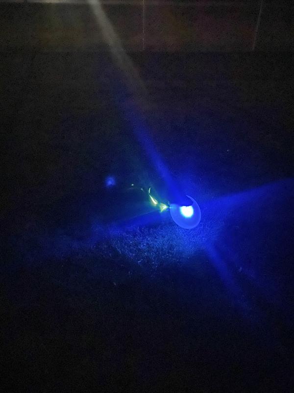 nite-ize-led-dog-discuit-flying-disc-for-night-play-durability