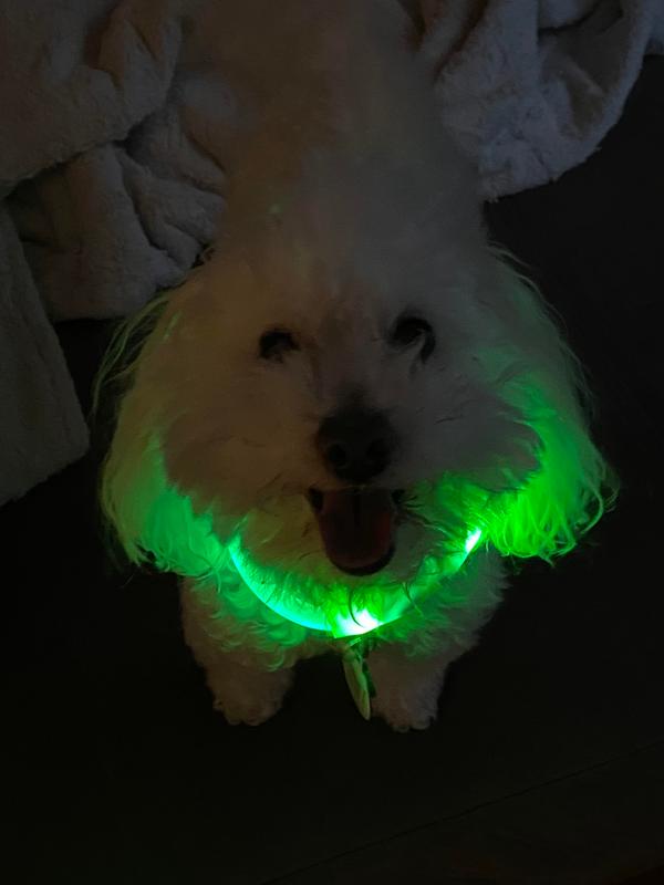 nitehowl rechargeable