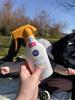 Sunny day