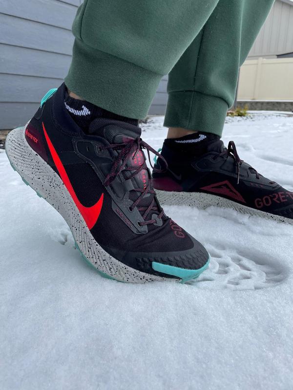 Nike Pegasus Trail 3 GORE-TEX