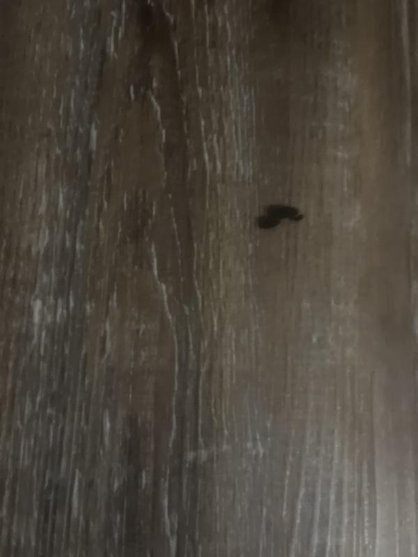 Photo submitted with review of product