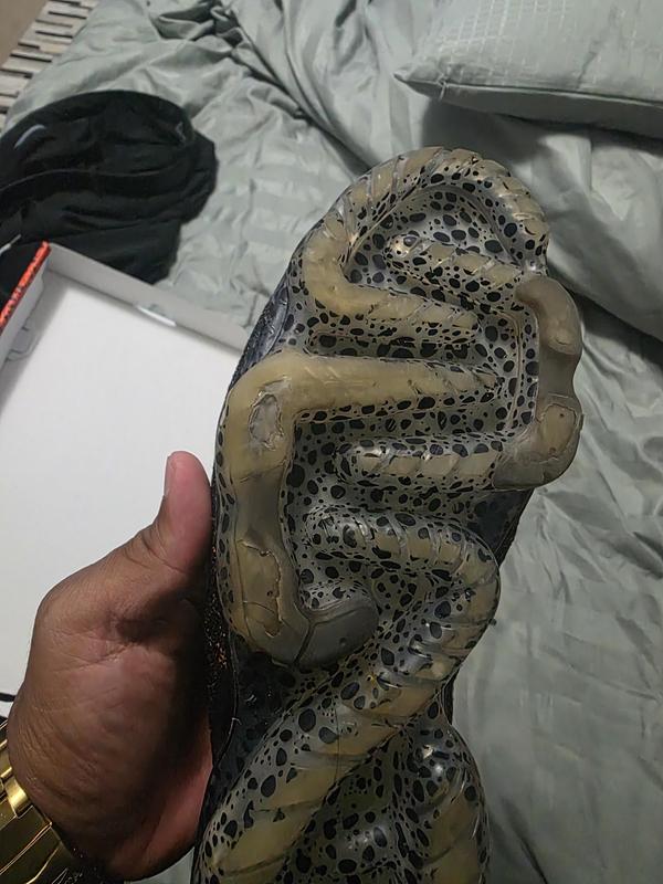 Photo submitted with review of product