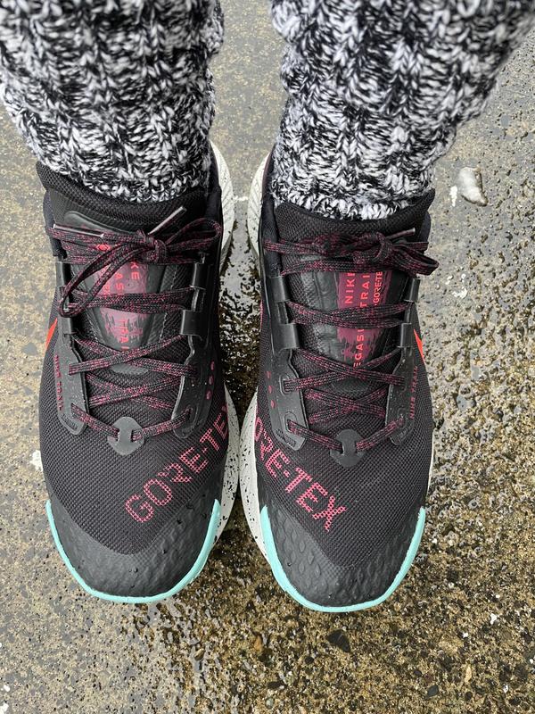 Nike Pegasus Trail 3 GORE-TEX
