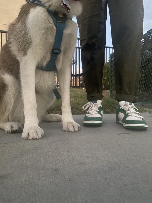 Review Thumbnail Image 0 215151725