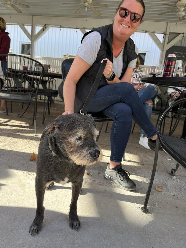 Dressed down, Air Max 97 with jeans and a puffer vest