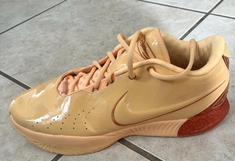 Nike LeBron 21 'Freshwater' Shoes