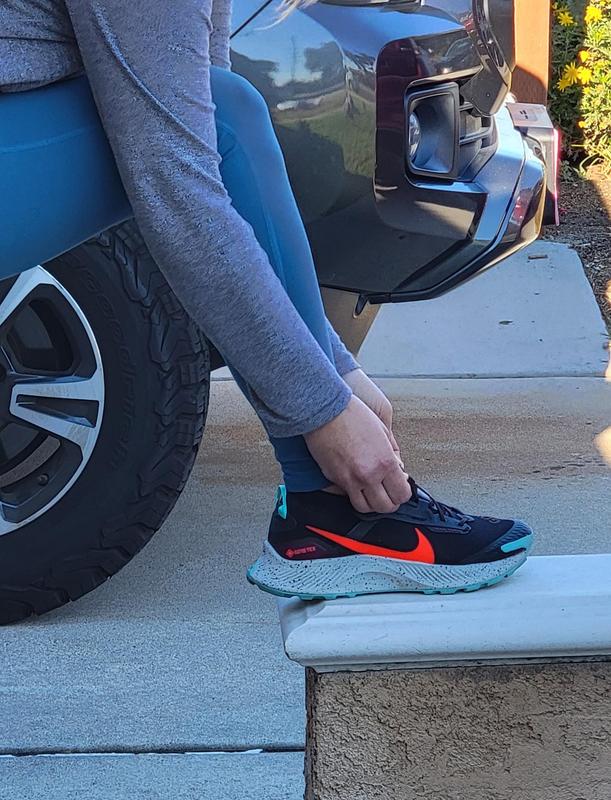 Nike Pegasus Trail 3 GORE-TEX