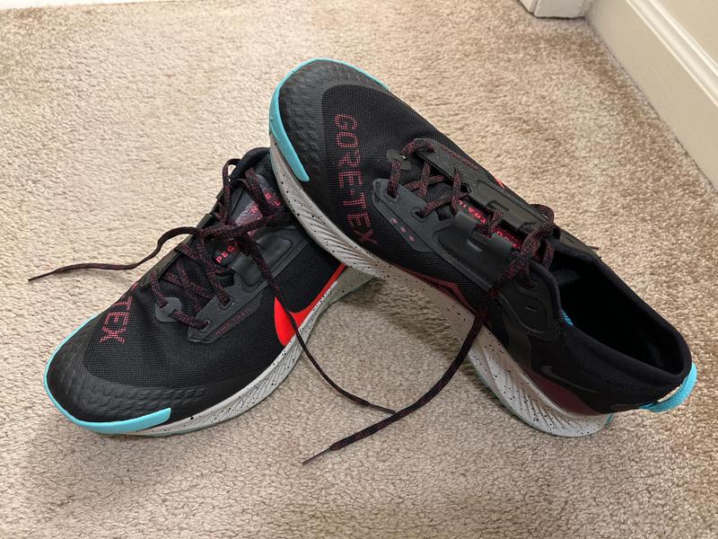 Nike Pegasus Trail 3 GORE-TEX