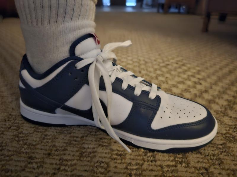 Nike Dunk Low Retro shoes, great shoes.