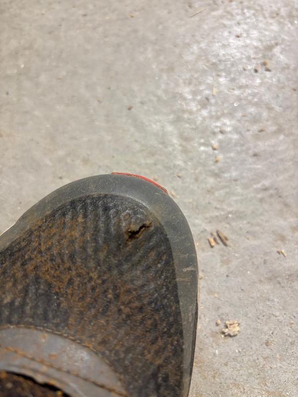 Photo submitted with review of product