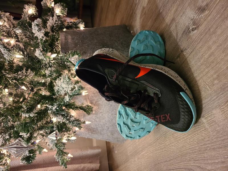 Nike Pegasus Trail 3 GORE-TEX