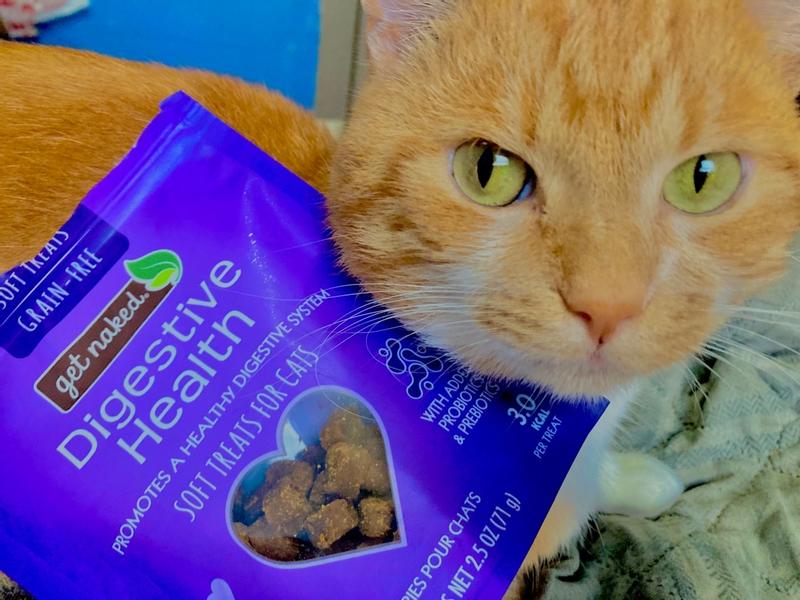 Get Naked® Digestive Health Soft Cat Treats – NPIC