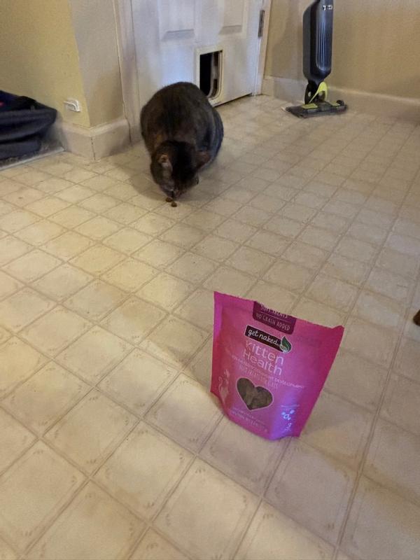 Get Naked® Kitten Health Soft Treats – NPIC