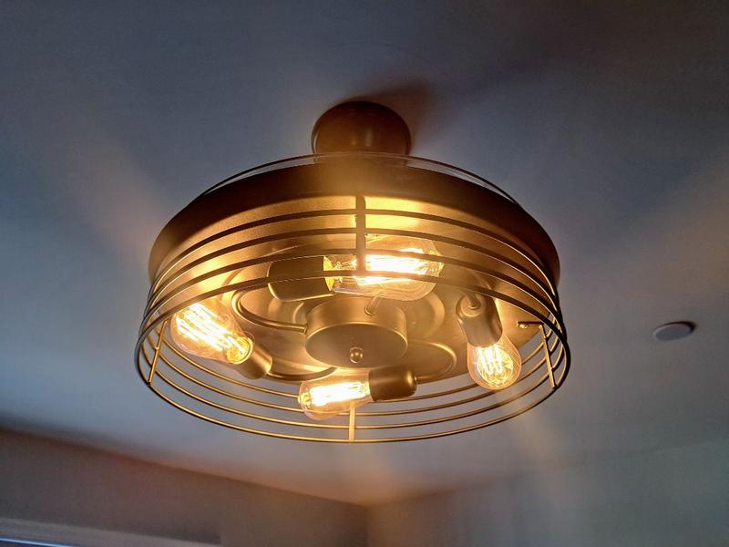 Cedar Hill 19-in Black with ABS Blades Covered Outdoor Flush Mount ...