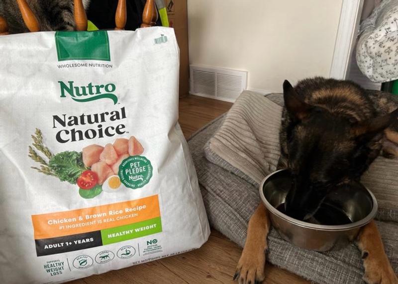 automatical dog water bowl Always Full Pet Water Bowl  Always Full Pet Water Bowl