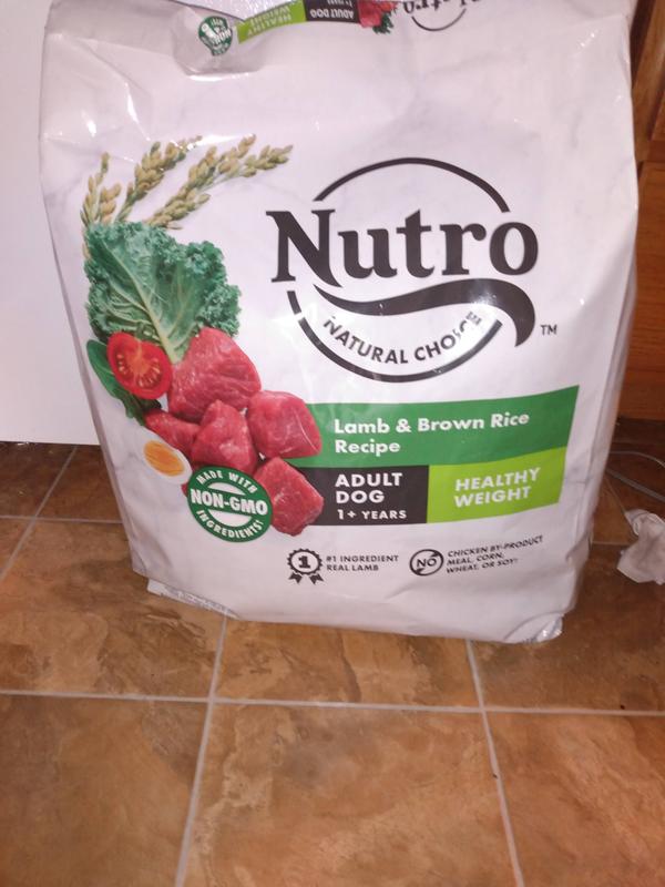 Nutro healthy weight lamb best sale