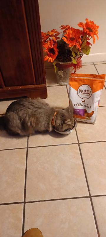 Nutro dog food clearance reddit