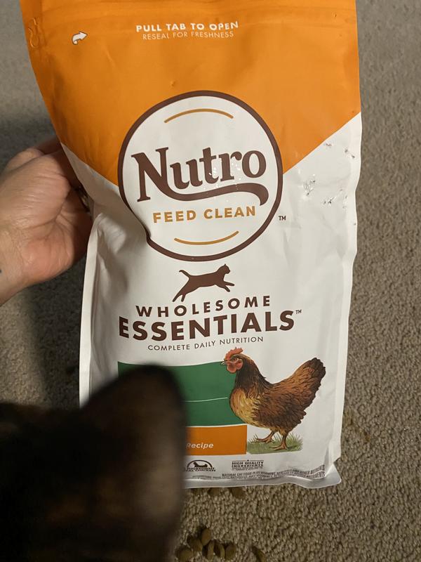 Nutro dry 2024 cat food