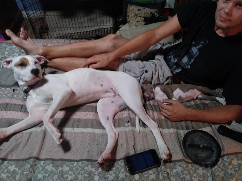 Mollie & Kodey laying the same way