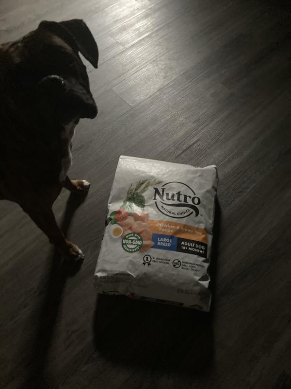 Nutro Natural Choice Large Breed Chicken and Rice Recipe Natural