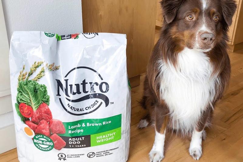 Adult Healthy Weight Lamb Brown Rice Recipe