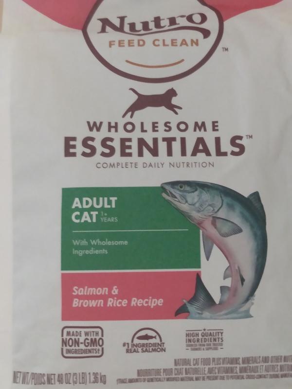 Nutro salmon cat outlet food