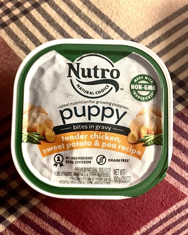 Nutro puppy canned food best sale