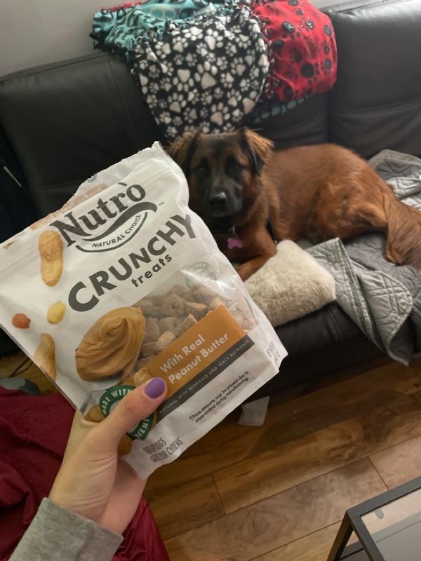 Nutro dog outlet snacks