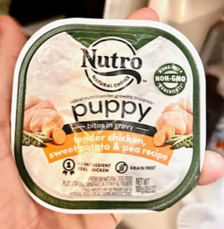 Nutro puppy food wet best sale