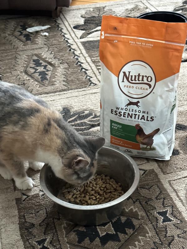 Nutro wholesome essentials large breed review best sale