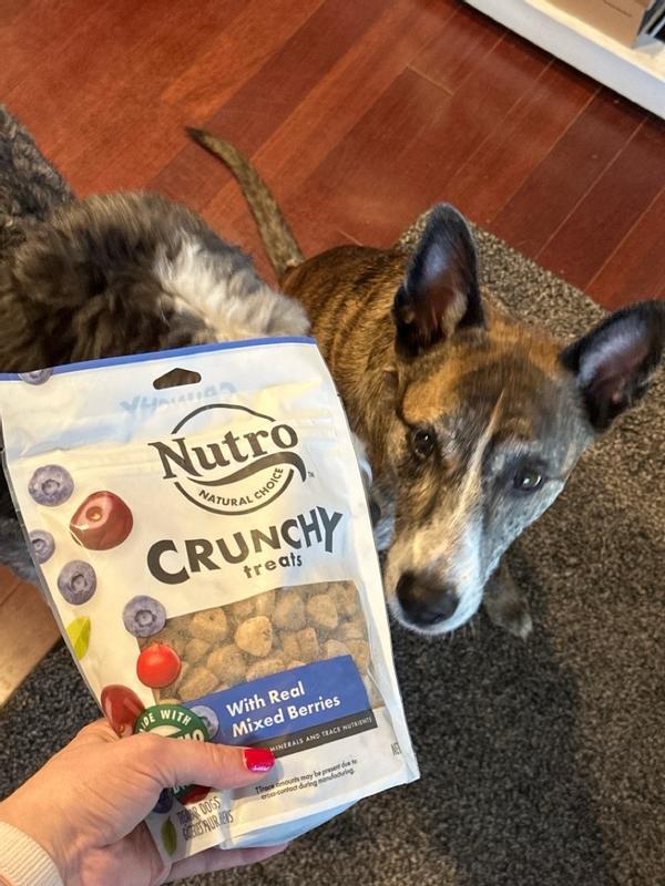 Nutro Crunchy Treats With Real Mixed Berries Dog Treats 10 oz