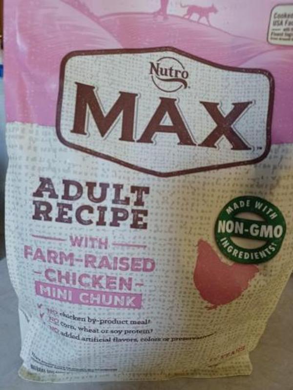 Nutro max dog food mini chunk best sale