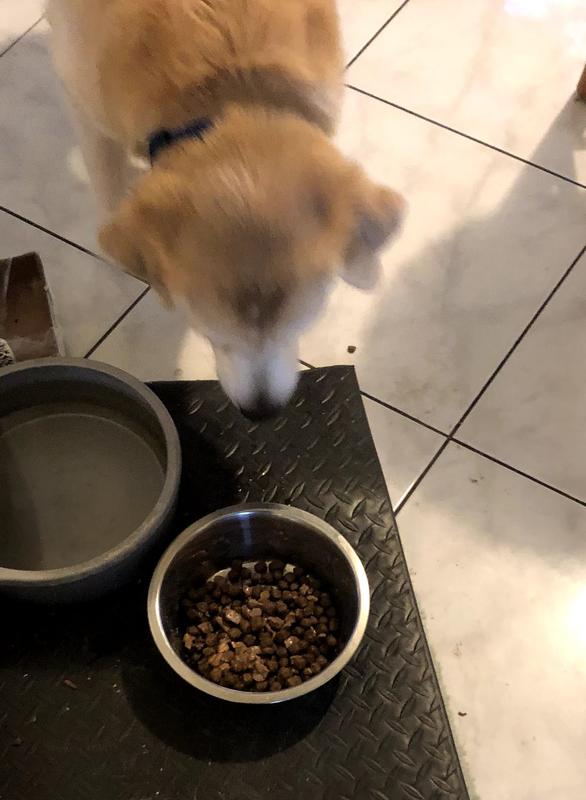 Wet food mixed with dry food