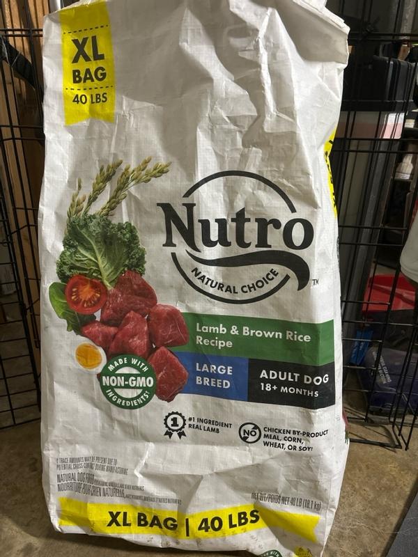 Nutro Wholesome Essentials Large Breed Adult Pasture Fed Lamb Rice D Petsense