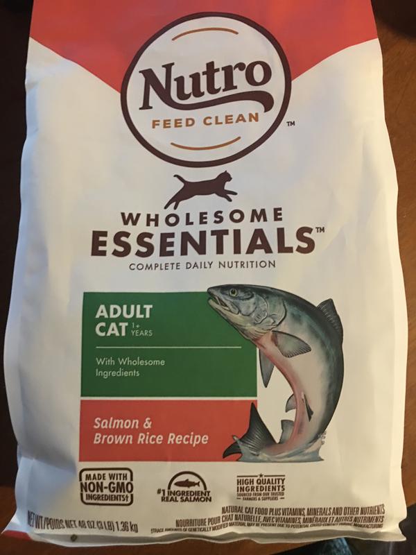 Nutro wholesome essentials salmon online