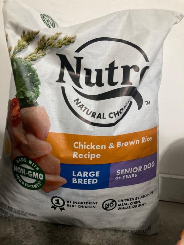 Nutro dog food for fashion sensitive stomachs