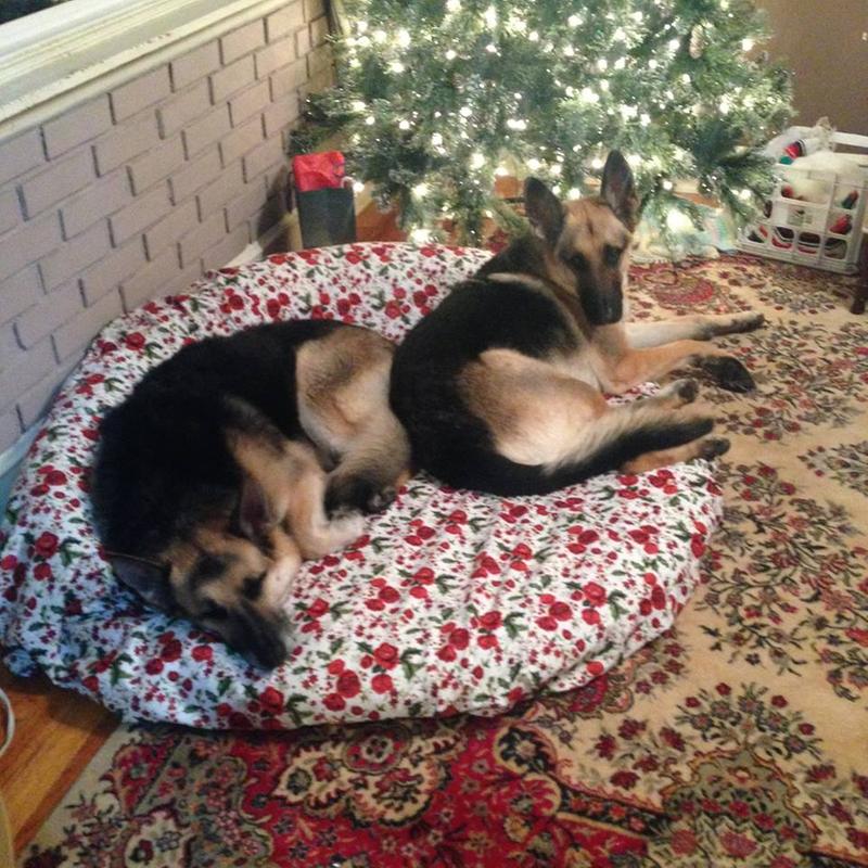 Rayne and Ceazar Christmas 2015