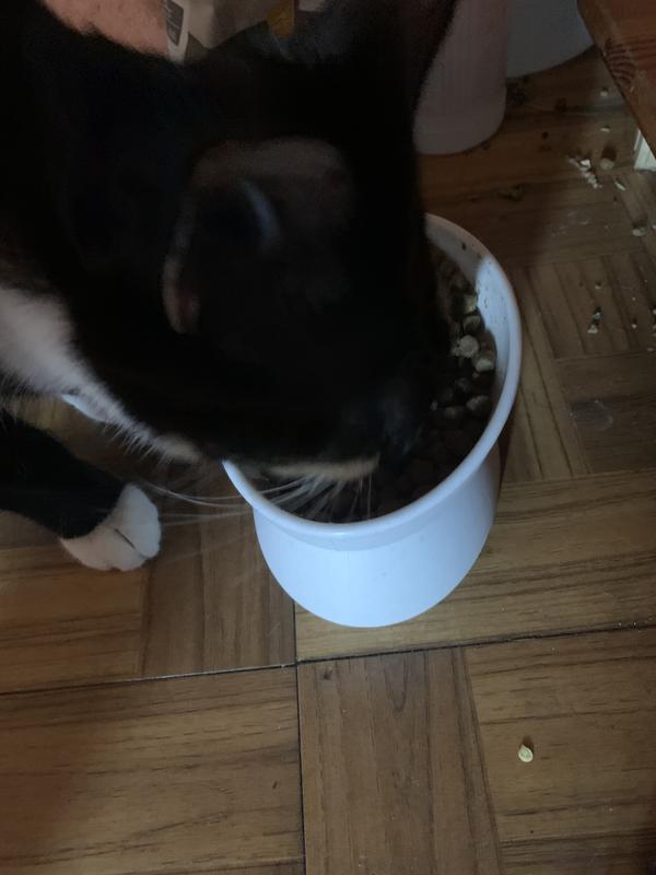 Her head didn’t come up till it was gone!