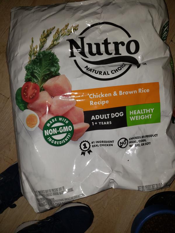 Nutro lite dog clearance food