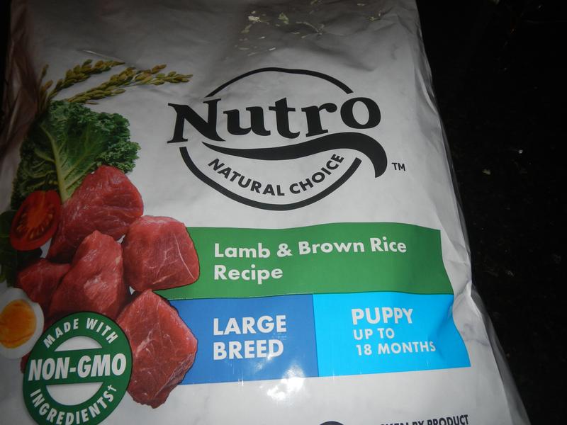 Nutro lamb and rice reviews hotsell