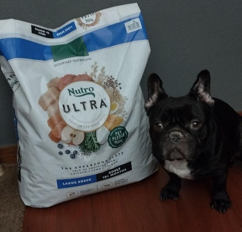 NUTRO ULTRA High Protein Natural Dry Dog Puppy Food With A Trio Of