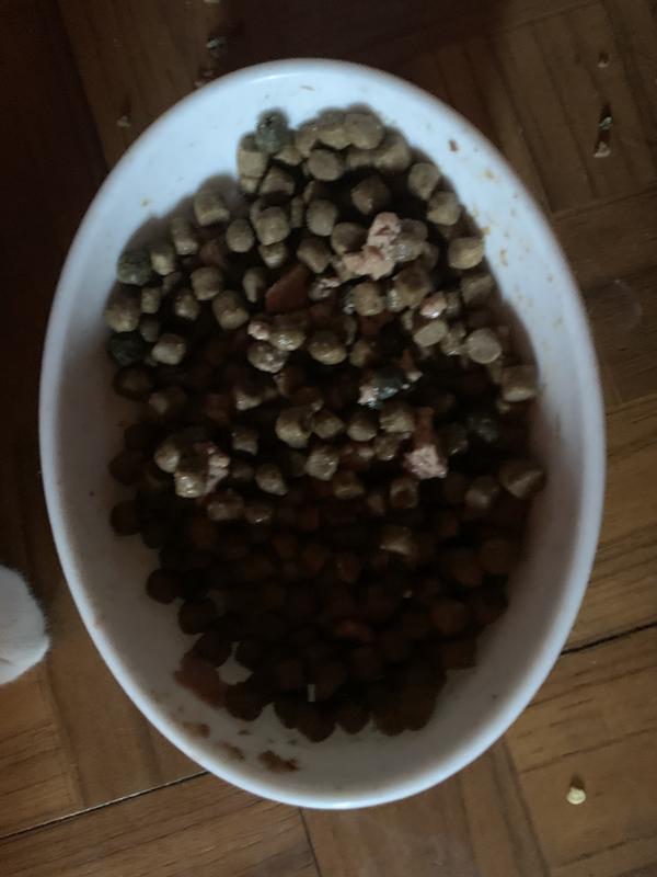 Mixed in with dry food