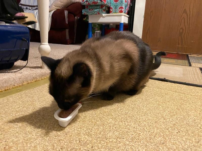 Frankie trying the beef