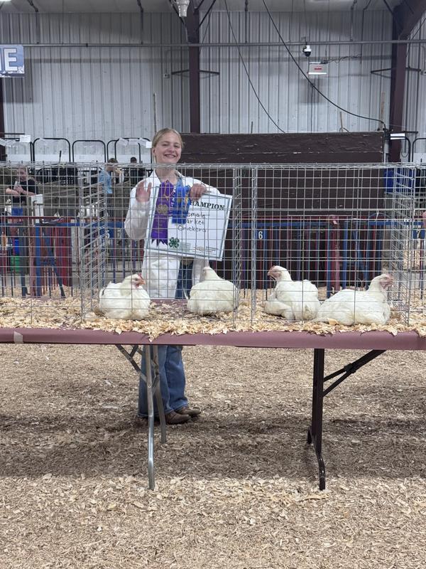 County fair winners